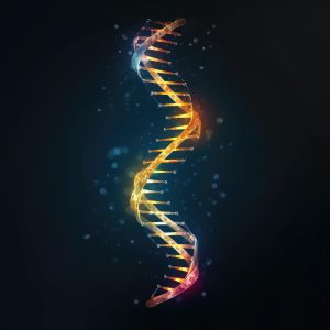 En DNA-spiral